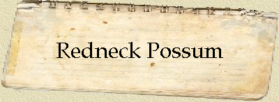 Redneck Possum